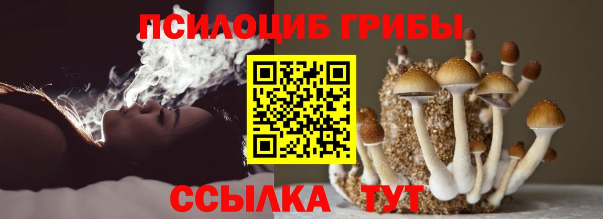 Тара  Псилоцибиновые грибы мухоморы  Вход с VPN 